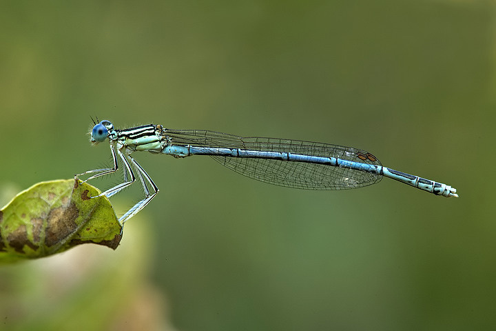 I colori del momento