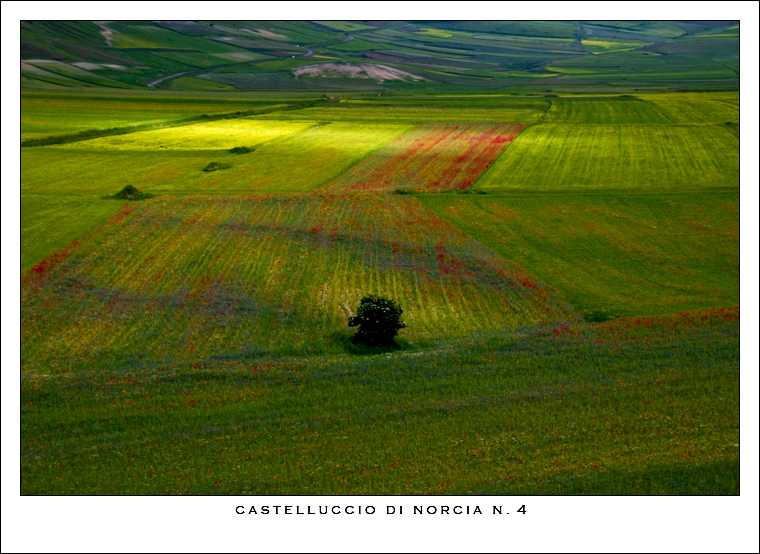 Castelluccio di Norcia n. 4