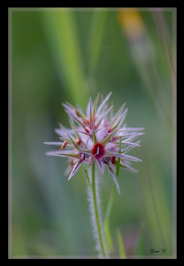 Geometrie colorate..