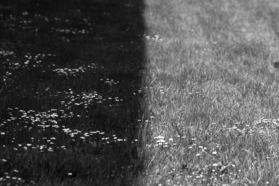 confine tra ombra e luce