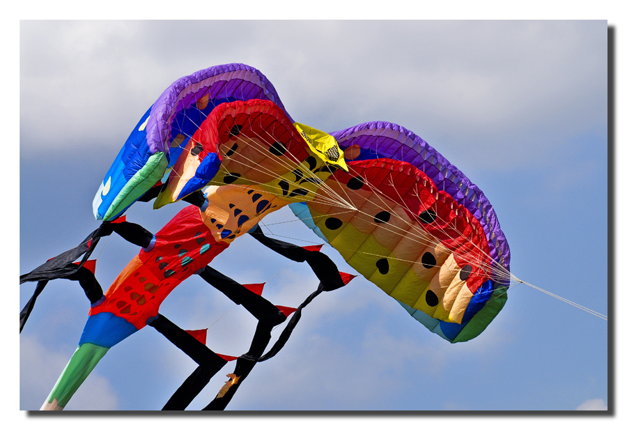 Manifestazione Coloriamo i Cieli - Castiglione del Lago