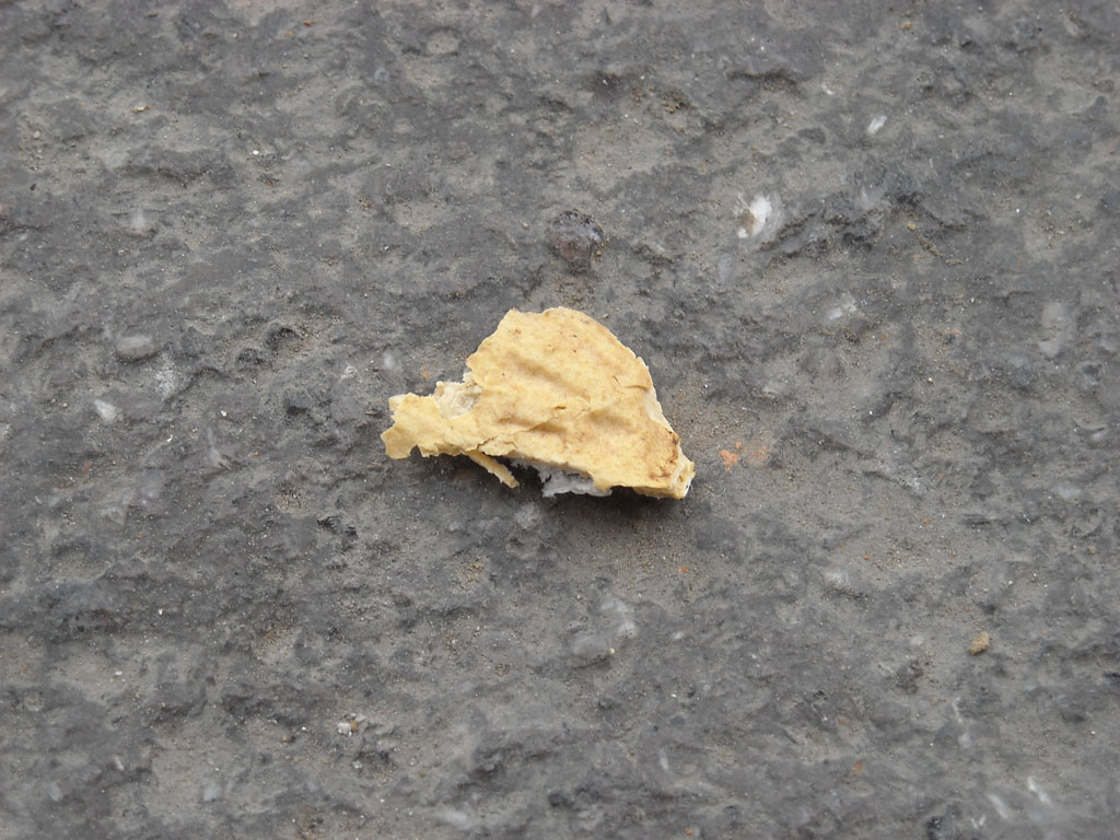 buccia di noccioline