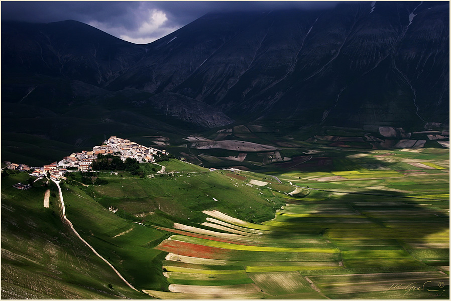 Castelluccio primi fiori
