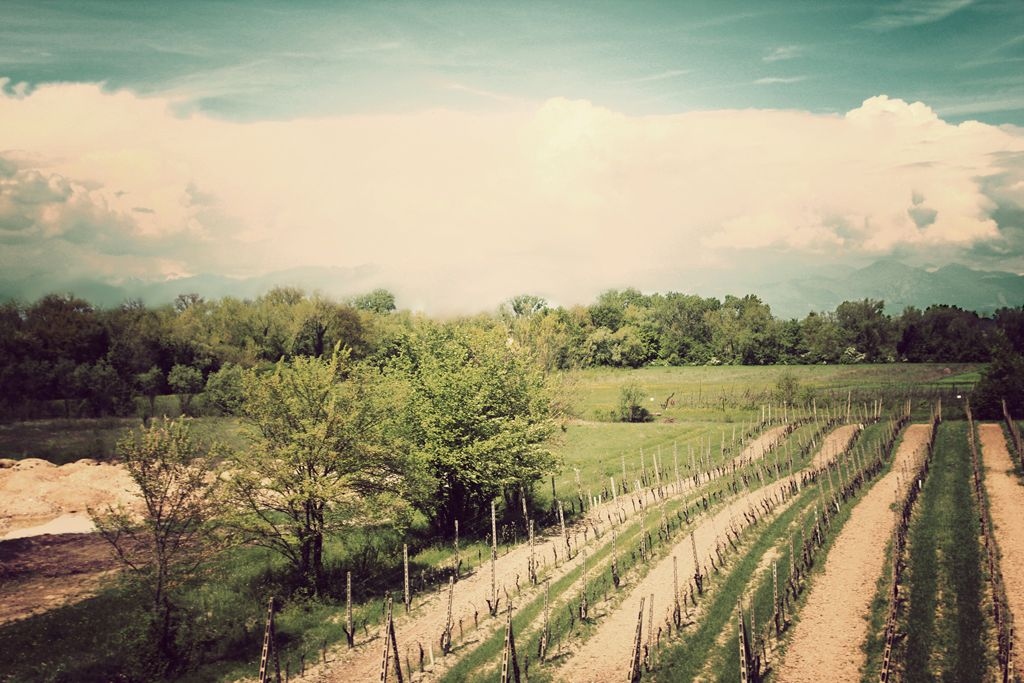 viaggio in treno (aprile)