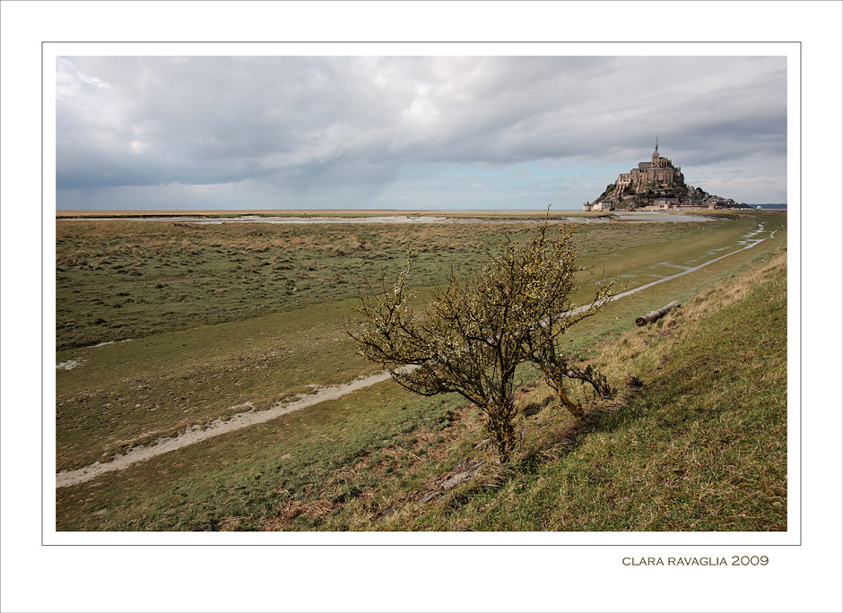 Prima della pioggia....