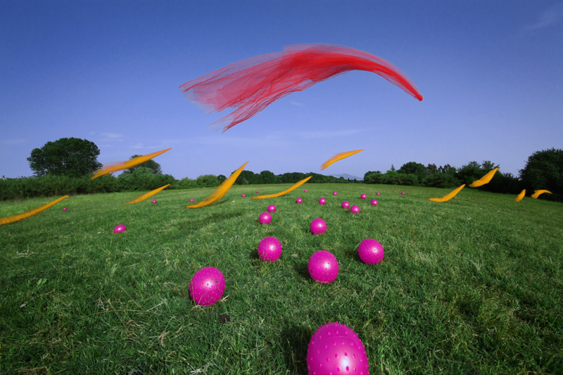 Chrysalides and unattended eggs