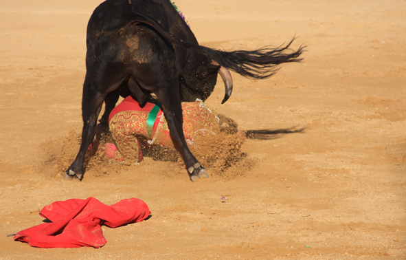 Toreros... ol���!!!