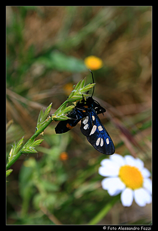 Close up for fun # 2