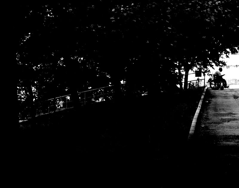 sul limitar di una selva oscura.....