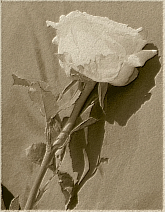 Il racconto dell'ombra