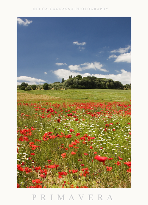 SFUMATURE DI PRIMAVERA