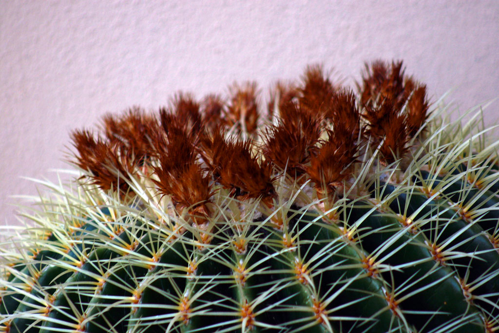 INACCESSIBILE FORTEZZA