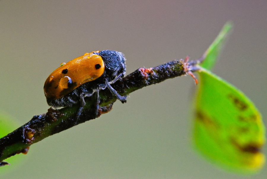 Aspettando un tempo migliore