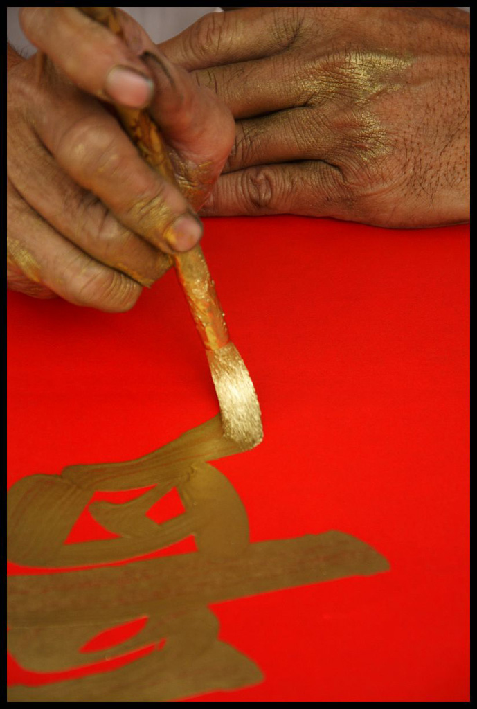 Vietnam 2009 (sigma 18-125mm)