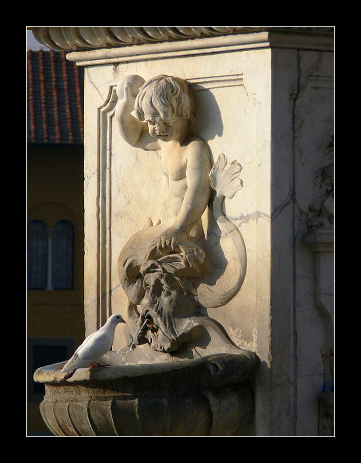 L'amico degli animali