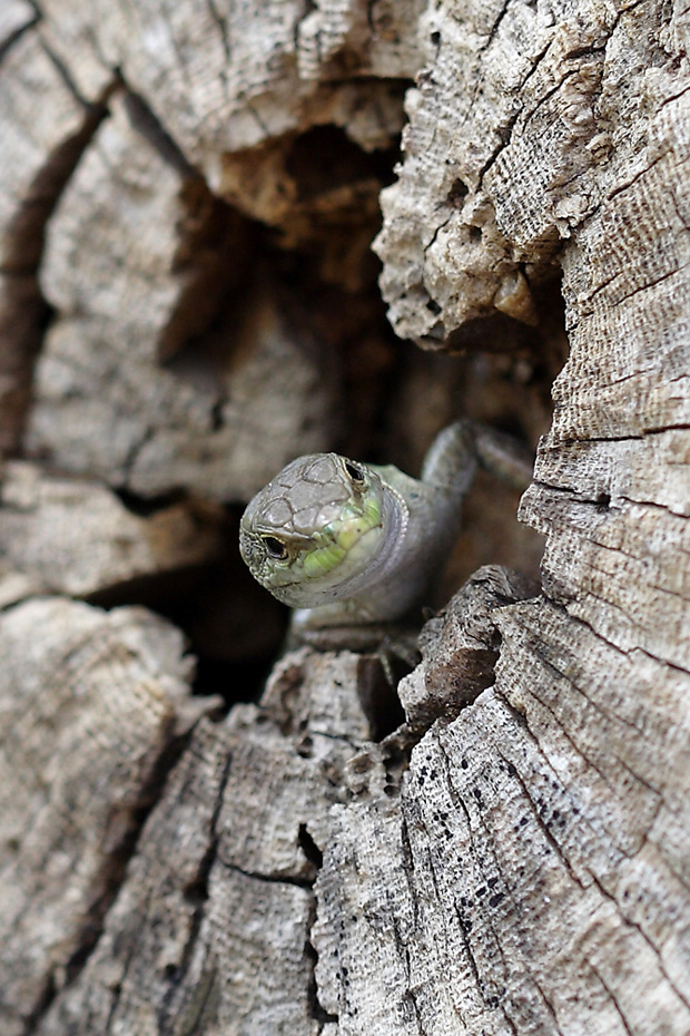 casa dolce casa......