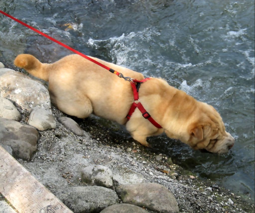 Quando si ha sete nessuno pu� "tenere" nessuno!