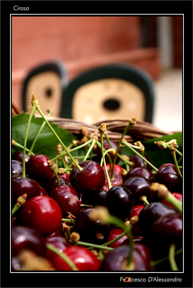 Cirasa