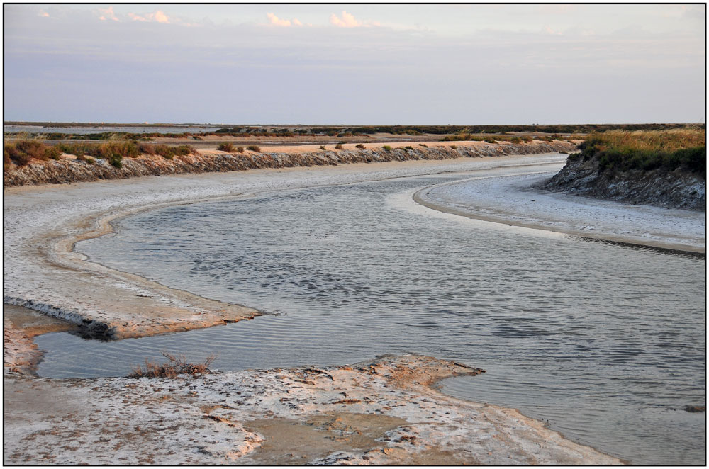 Camargue