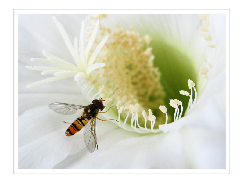 Chi non vorrebbe essere al suo posto?