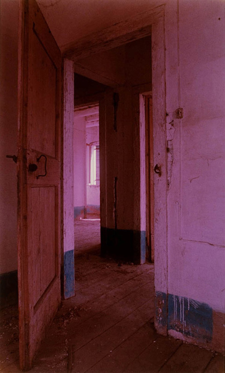 Ripete anch'esso - brandello deluso di esistenza - che il candido barlume che varc�, dileguando, quella soglia, � lontano e non vero, come un sogno. (G.Arcangeli)