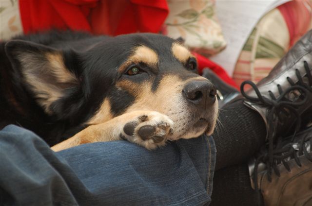 il riposo del guerriero