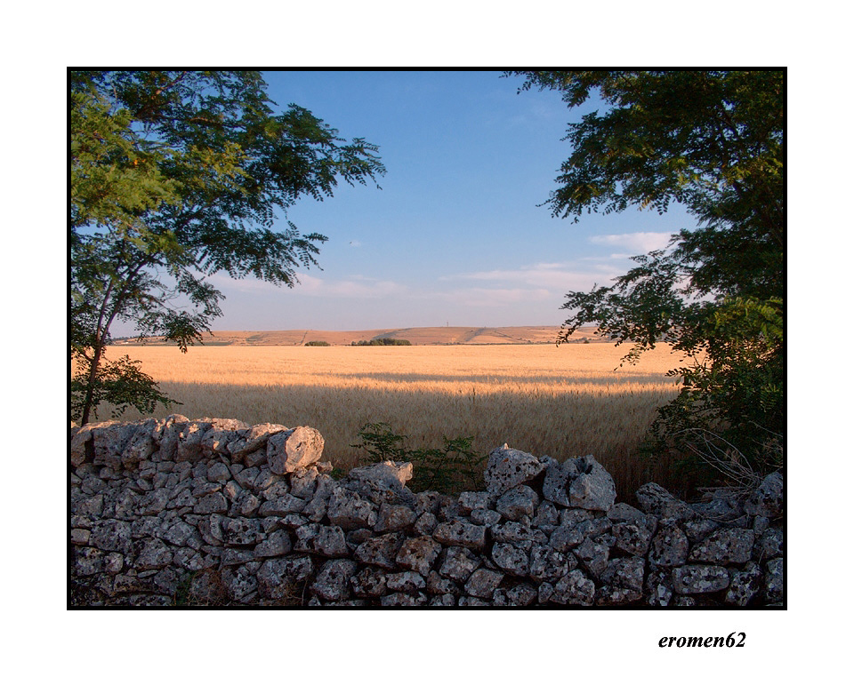 ...UNO SCORCIO DELLA MIA TERRA...