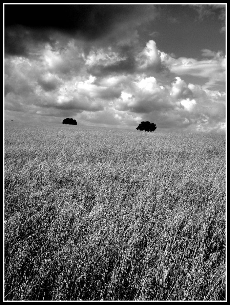 una terra chiamata alentejo