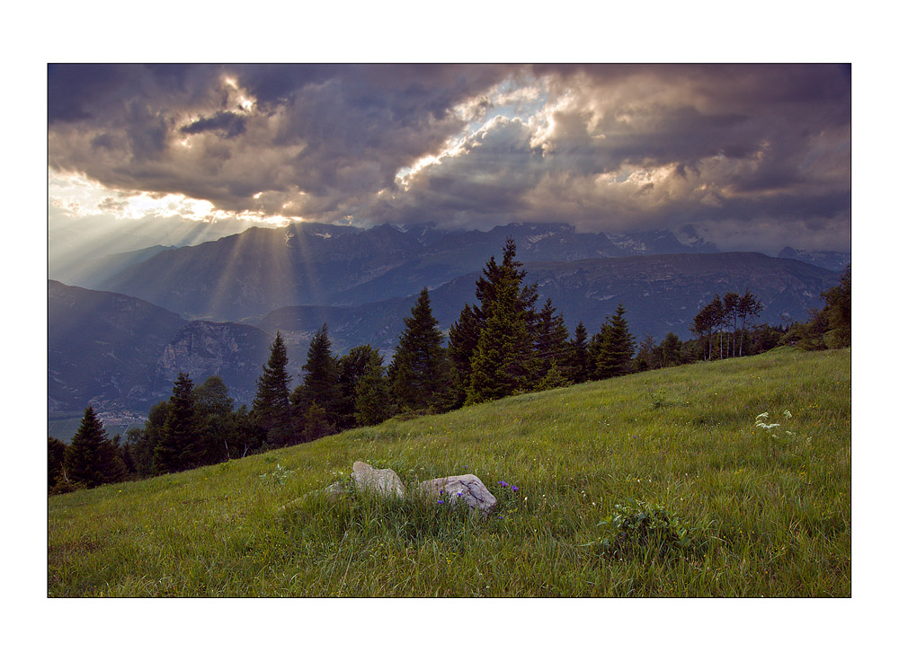 Dimostrazione di Forza