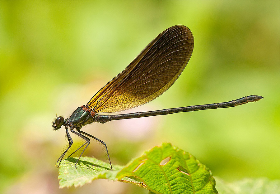 ...Con il Sole...!!!