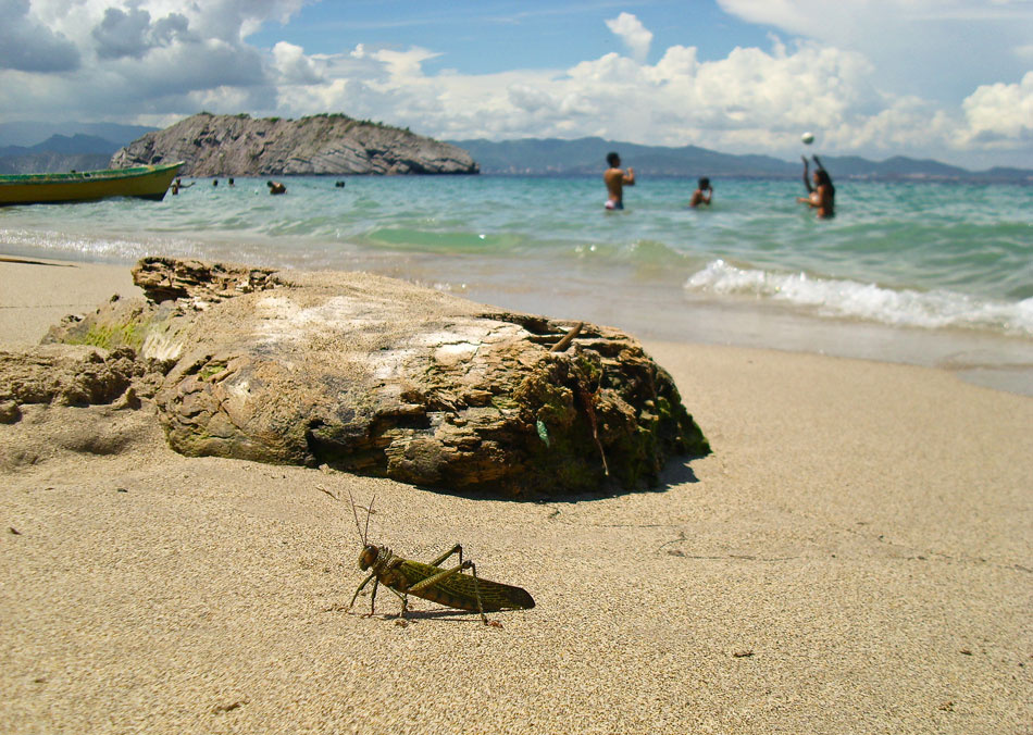 Venezuela, Puerto La Cruz 2