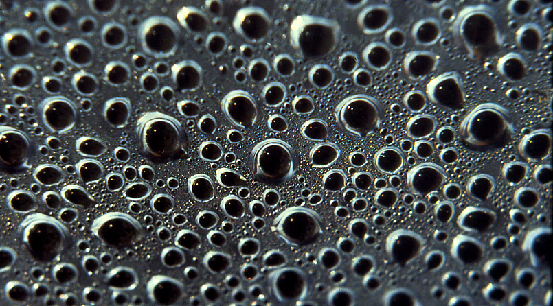 La fabbrica degli occhi