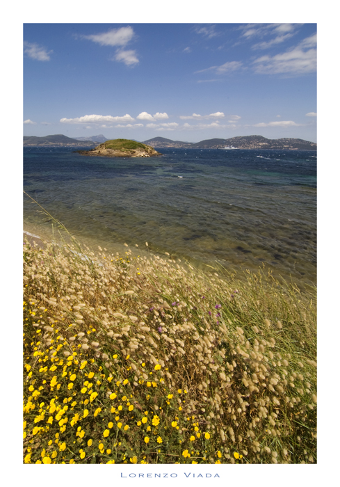 Porquerolles a colori 2