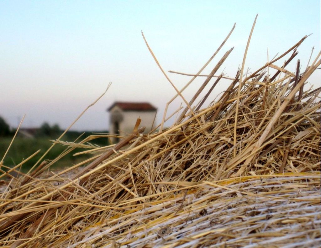Chiesetta su argine maestro del Po