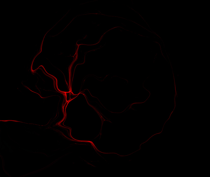 albero della vita e brain bambino