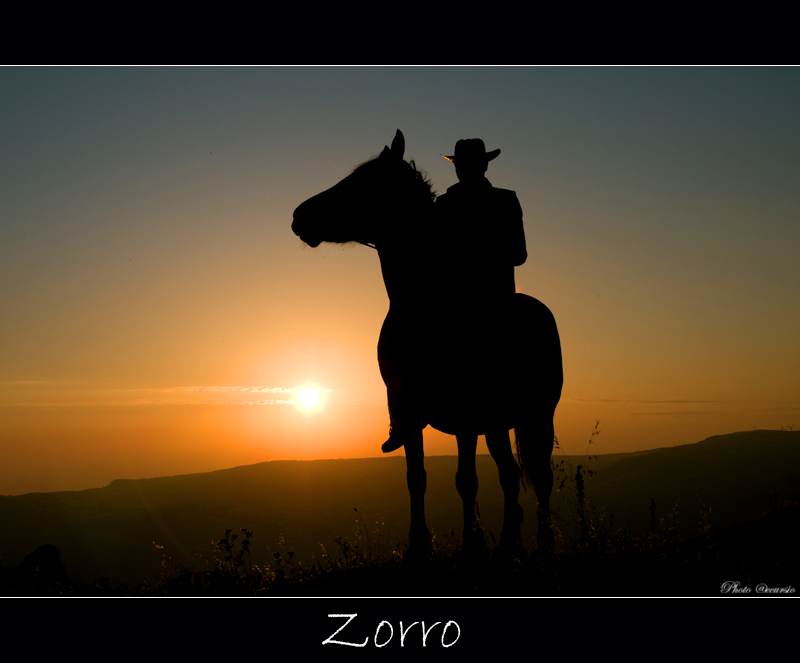 Zorro