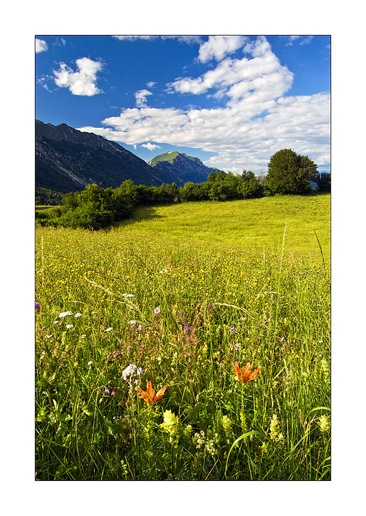 Due Gigli e la Cima Verde