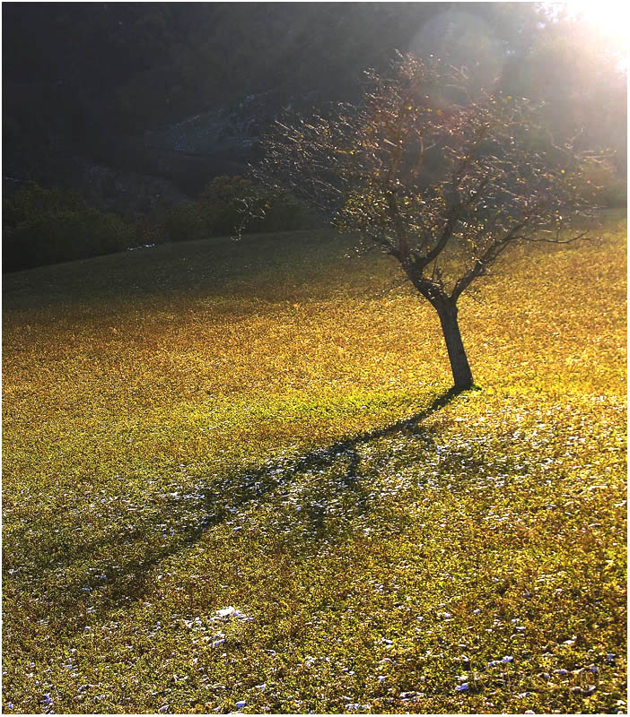 Lights and shadows: life and dead.