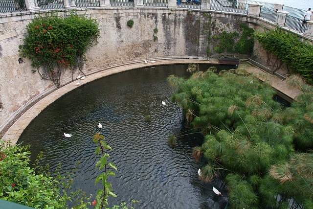 Fontana Aretusa - Siracusa