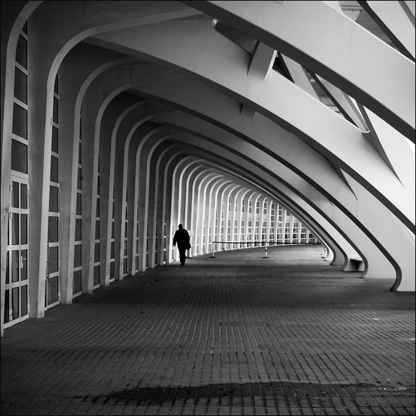 Giona che visse nella balena