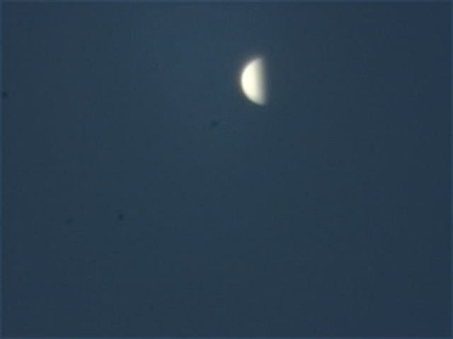 Venere di giorno Venere di giorno