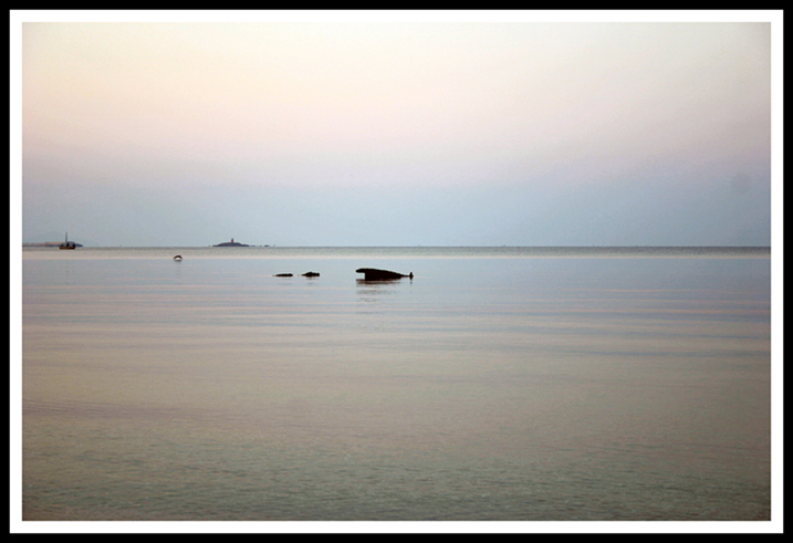Lido di Alghero all'alba