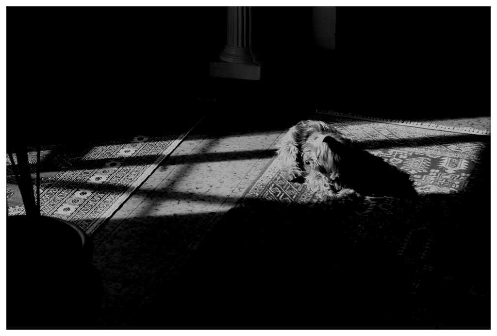 Cosa c'� l� fuori?