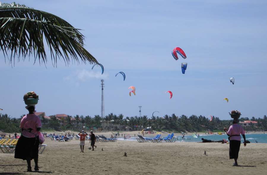 Doppia Mami della frutta (Colori)
