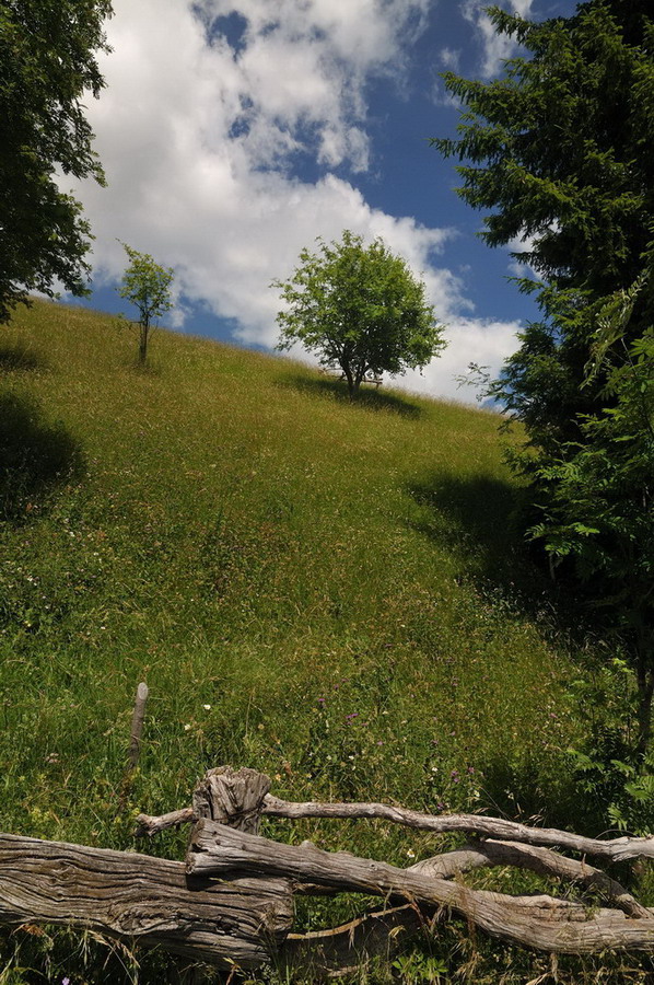 sentiero per la Grigna