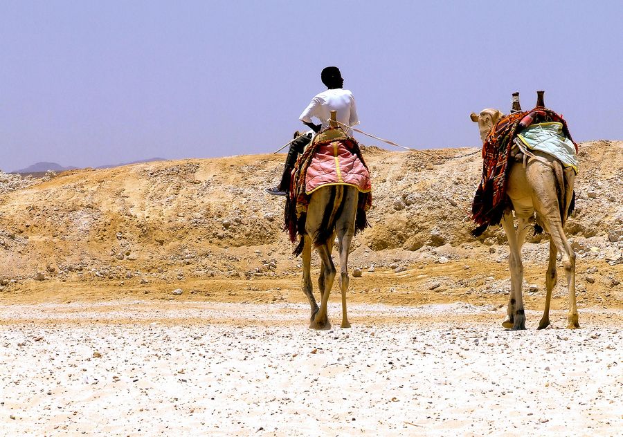 Una passeggiata con il cammello...