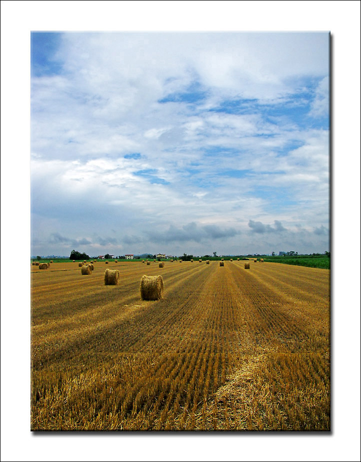 tutto va a rotoli...