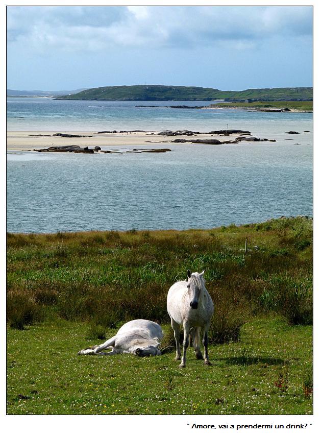 " Amore, vai a prendermi un drink? "