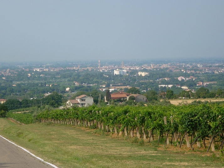 panorama