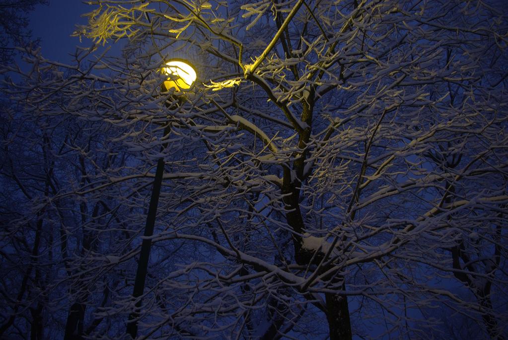 Notturno innevato